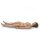 Susie Simon Patient Care Simulator without Ostomy