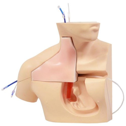 CVC Insertion Simulator III