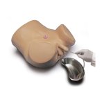 Katheterisierungs- und Stomapflege-Simulator, m&auml;nnlich und weiblich