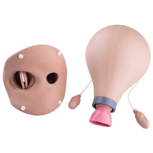 ZOE Postpartaler Uterus