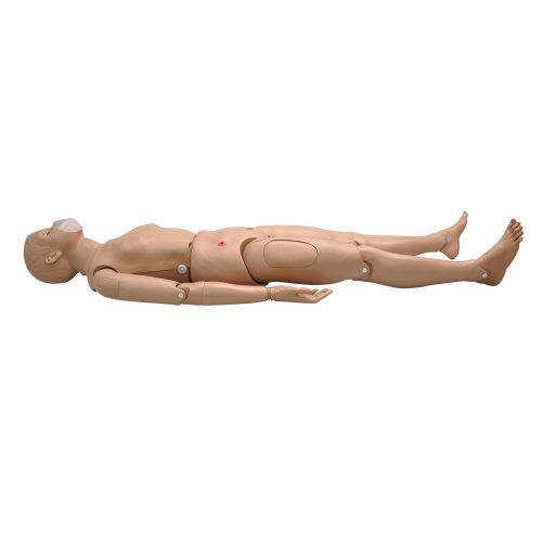 CPR Simon BLS - Full Body with Venous Sites