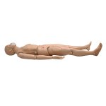 CPR Simon BLS - Full Body with Venous Sites
