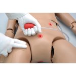 CPR Full Body Simulator OMNI Code Blue Pack