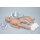 Susie Simon Newborn CPR and Trauma Care Simulator - with OMNI