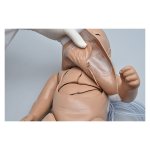 Susie Simon Newborn CPR and Trauma Care Simulator - with Intraosseous and Venous Access