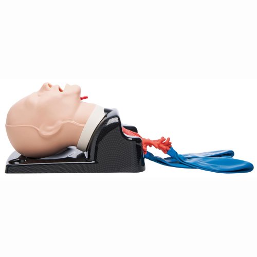 AirSim Advanced Bronchi X