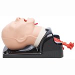 AirSim Advanced Bronchi X