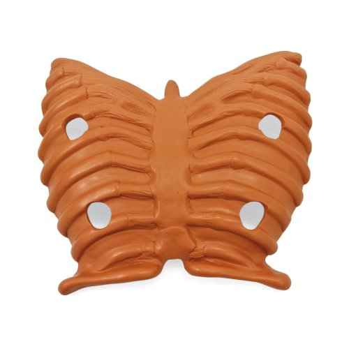 HAL Thorax for intubation torso