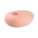 SONOtrain Ultrasound Chest Model with Cysts &ndash; Spare Chest