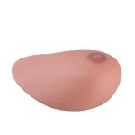 SONOtrain Ultrasound Chest Model with Tumors - Spare Chest