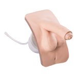3B Catheterization Simulator PRO/BASIC, male genital insert