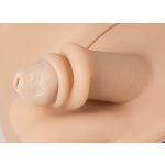 Male catheterisation and enema simulator