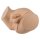 Male catheterisation and enema simulator