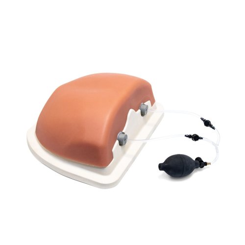 Bildgestützter Brustinjektions-Trainer