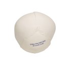 Foetal Skull Model, Natural Cast, 30th Week of Pregnancy - 3B Smart Anatomy