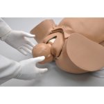 OB Susie - Geburtshilfe- Simulator