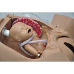 OB Susie - Geburtshilfe- Simulator
