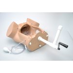 OB Susie - Geburtshilfe- Simulator