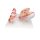 Pregnancy Models Series, 5 Embryo & Fetus Models on a Base - 3B Smart Anatomy