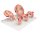 Pregnancy Models Series, 5 Embryo & Fetus Models on a Base - 3B Smart Anatomy