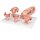 Pregnancy Models Series, 5 Embryo & Fetus Models on a Base - 3B Smart Anatomy