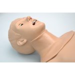 HAL Mehrzweck-Trainer für Atemwegs­behandlungen und CPR