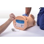 HAL Adult Multipurpose Airway Trainer and CPR Trainer