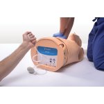 HAL Mehrzweck-Trainer für Atemwegs­behandlungen und CPR