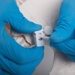 Becken-Skelett-Modell "Bungee", weiblich - 3B Smart Anatomy
