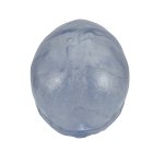 Schädel Modell Klassik Transparent, 3-teilig - 3B Smart Anatomy