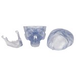 Schädel Modell Klassik Transparent, 3-teilig - 3B Smart Anatomy