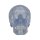 Schädel Modell Klassik Transparent, 3-teilig - 3B Smart Anatomy