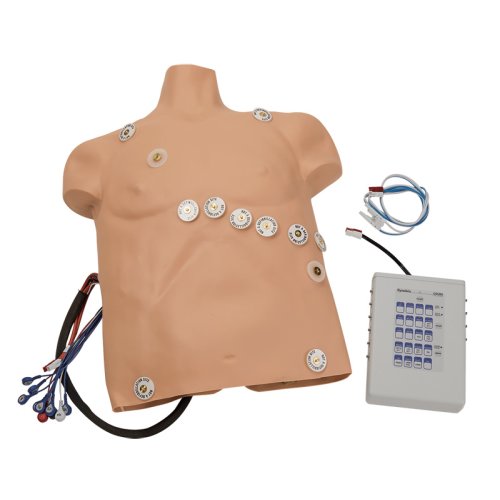 12-Kanal-Arrhythmie Simulator mit Overlay, groß