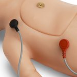 C.H.A.R.L.I.E. Neonatal Resuscitation Simulator