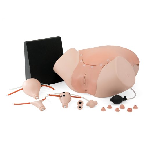 Gynäkologietrainer P91 - hell