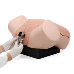 Gynäkologietrainer P91 - hell