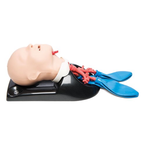 AirSim Child Bronchi X
