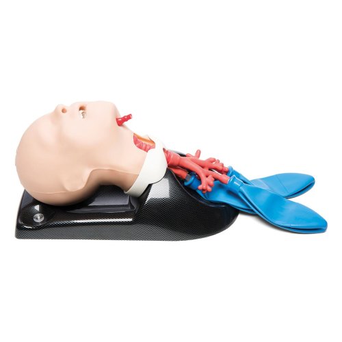 AirSim Child Combo Bronchi X