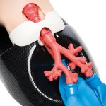 AirSim Child Combo Bronchi X