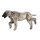 Hunde Positionierungspuppe Emily