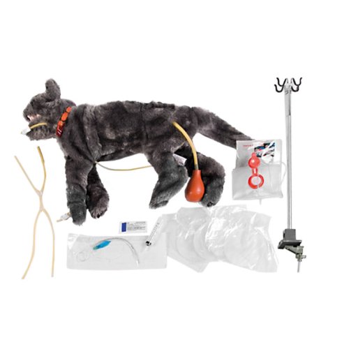Fluffy Critical Care Katzen-HLW-Übungsmodell