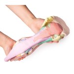 Foot of a horse - 3D model 1