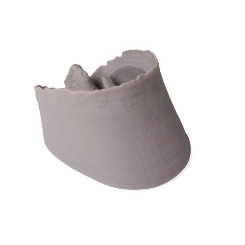 Hornkapsel für die 3D Modelle "Fuss des Pferdes"