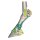 Foot of a horse - 3D model 4