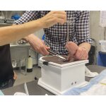 Equine Castration Surgical Simulator