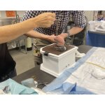 Equine Castration Surgical Simulator