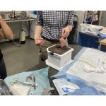 Equine Castration Surgical Simulator