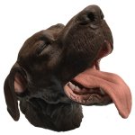 Zahntechnikmodell Hund