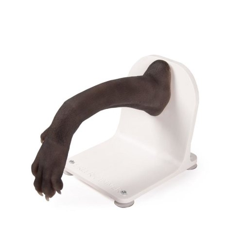 Hundepfote Verbandtrainer