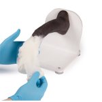 Hundepfote Verbandtrainer